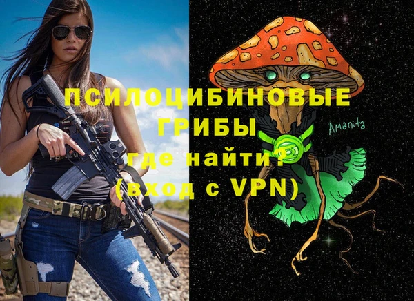 гидра Семилуки