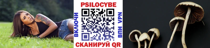 Галлюциногенные грибы прущие грибы  Белая Холуница 
